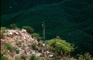 rune-nordrum-Mexico-2012-206